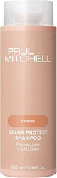 Paul Mitchell Protect Color Retention Shampoo for Coloured Hair 300ml Paul Mitchell Protect Color Retention Shampoo for Coloured Hair 300ml