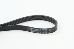 Continental Ctam 6pk995 Ribbed Transmission Belt Continental Ctam 6pk995 Ribbed Transmission Belt