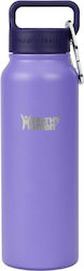 Healthy Human Stein Thermos Bottle Stainless St...