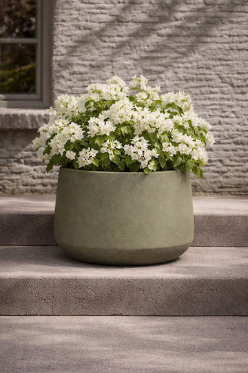 Kaemingk Ceramic Green Plant Pot 46x46x27cm
