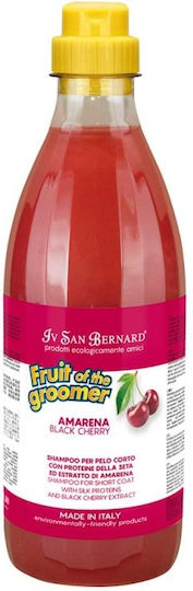Iv San Bernard Black Cherry Shampoo Dogs Cats 1l