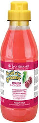 Iv San Bernard Black Cherry Shampoo Dogs Cats 500 Ml