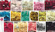 Flower Paper 8cm 12 Pieces Pack 0520059 Includes 12 Light Blue Pieces