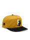 Fox Shadow Snapback Kappen