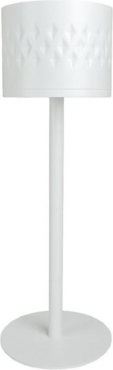 Espiel Metallic White Wine Cooler With Dimensions 24.5x80cm
