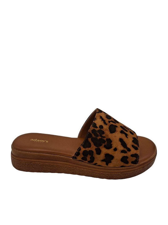 Adam's Shoes