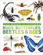 Our World In Pictures Bugs, Butterflies, Beetles And Bees - Dorling Kindersley Ltd - Hardback