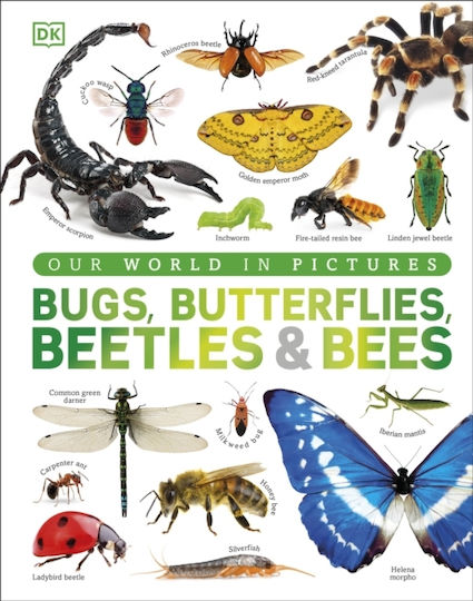 Our World In Pictures Bugs, Butterflies, Beetles And Bees - Dorling Kindersley Ltd - Hardback