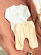 Cool Club Set Onesie with Pants White 2 Pieces