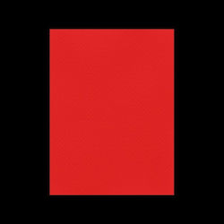 Favini Papier- und Kartonbestände 70x100cm 220gr Nr.10 Rotes Favini Papier- und Kartonbestände 70x100cm 220gr Nr.10 Rotes