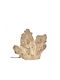 Zaros Decorative Lighting Fixture 33.6cm