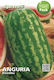Samen Wassermelone Klondike Rs 57 Sgaravatti