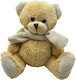 Plüsch-Teddybär 18 cm