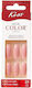 Kiss Color False Nail Tips in Pink Colour 24 Pieces 814637