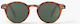 Izipizi Oval Kids Sunglasses with Polarized Brown Lens for 7-11 Years