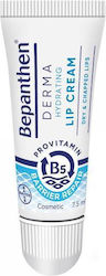 Bepanthene Derma Lip Care Cream 7.5ml