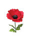 Red Poppy Branch XXL Φ55x150cm 12/Box