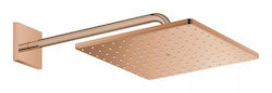 Grohe Cube Showerhead with Extension Arm