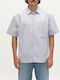 Short Sleeve Cotton Shirt in Regular Fit Striped Brown