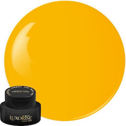 Gel UV Nagelkunst Babyboomer Luxorise Kissen Om...