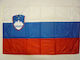 Steag Slovenia Poliester 50x35cm