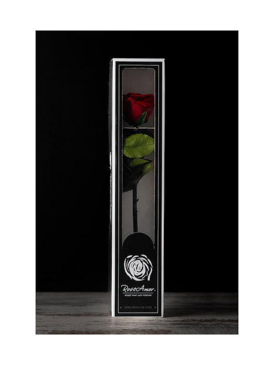 Αποχυμωμένο Κόκκινο Τριαντάφυλλο Forever Rose Στέλεχος 7/40cm Αποχυμωμένο Κόκκινο Τριαντάφυλλο Forever Rose Στέλεχος 7/40cm