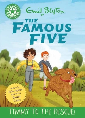 Reading Champion The Famous Five Timmy To The Rescue Band 5 Jackie Walter