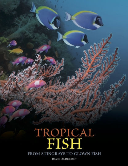 Tropical Fish - Amber Books Ltd - Hardback