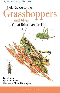 Field Guide To The Grasshoppers And Allies Of Great Britain And Ireland - Bloomsbury Publishing Plc - Paperback / Softback