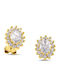 Themelidis Jewels Silver Gold Plated Earrings with Stones
