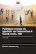 Racial And Spatial Policy Of Education In Saint-louis Mo