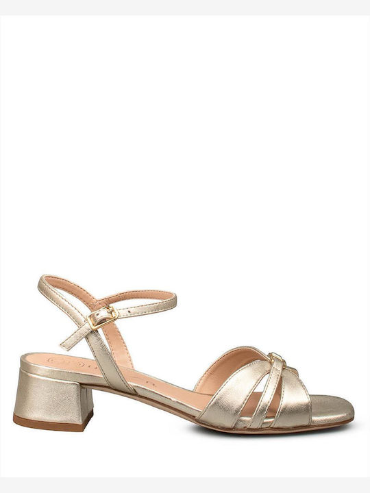 Unisa Gold Sandals JAIPUR LMT PLATINO