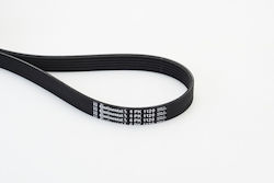 Continental Ctam 6pk1120 Ribbed Transmission Belt