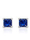 Paraxenies Silver Stud Earrings with Blue Stones
