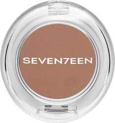 Seventeen Silky Shadow