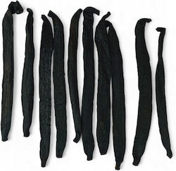 Vanilla Pompona Royal Brand 10 Pcs 18-25cm