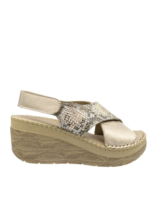 Anatomic Summer Women's Gold Platforms
