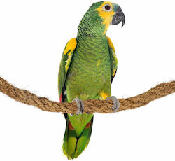 Back Zoo Nature Vogelkäfig-Zubehör für Papageien Natürliche Kokosnuss Seil 2 Meter Länge x 30mm Dicke
