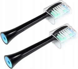 Oromed Replacement Heads 2pcs