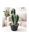 Artificial Decorative Cactus Plant Potted 30cm Galifas 551048 Galifas