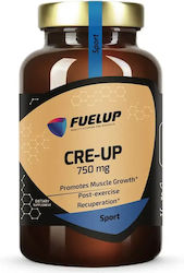 Fuel Up Cre-Up Monohydrat 700mg 240 Kapseln Fuel Up Cre-Up Monohydrat 700mg 240 Kapseln