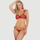 Underwire Bra Set with Transparent Mesh Flower Patterns Red