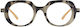 Oceanides Eyewear Lesebrillen +1.00 in Gray Farbe