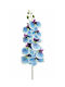 Orchid Phalaenopsis Light Blue Stem 0x0x97cm Monochrome Evergreens