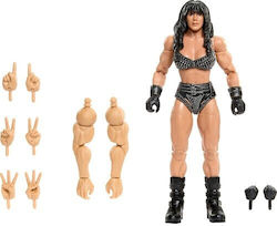 Event Elite WWE