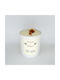 Citrus Garden Soy Candle 260g