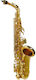Se510l Stewart Ellis Student Serie Hoch Saxophon