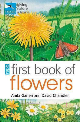 Rspb First Book Of Flowers David Chandler A & C Black (childrens Books)