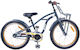 vidaXL 18 Zoll Kinderfahrrad BMX Grau