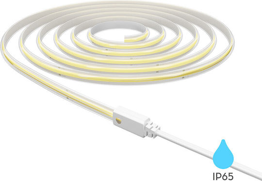 Braytron Αδιάβροχη Ταινία LED 220V Ψυχρό Λευκό Φως Τύπου COB